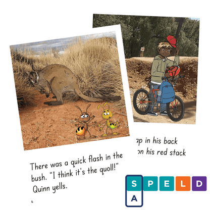 SPELD-SA Readers: Phonic Books with Sounds-Write Initial Code Unit 11 & Bridging Unit x 10 Books